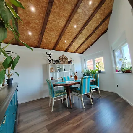 Chill & Relax Loft 公寓 扎达尔